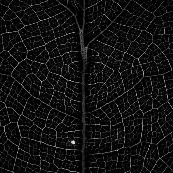 Abstract network visualisation background